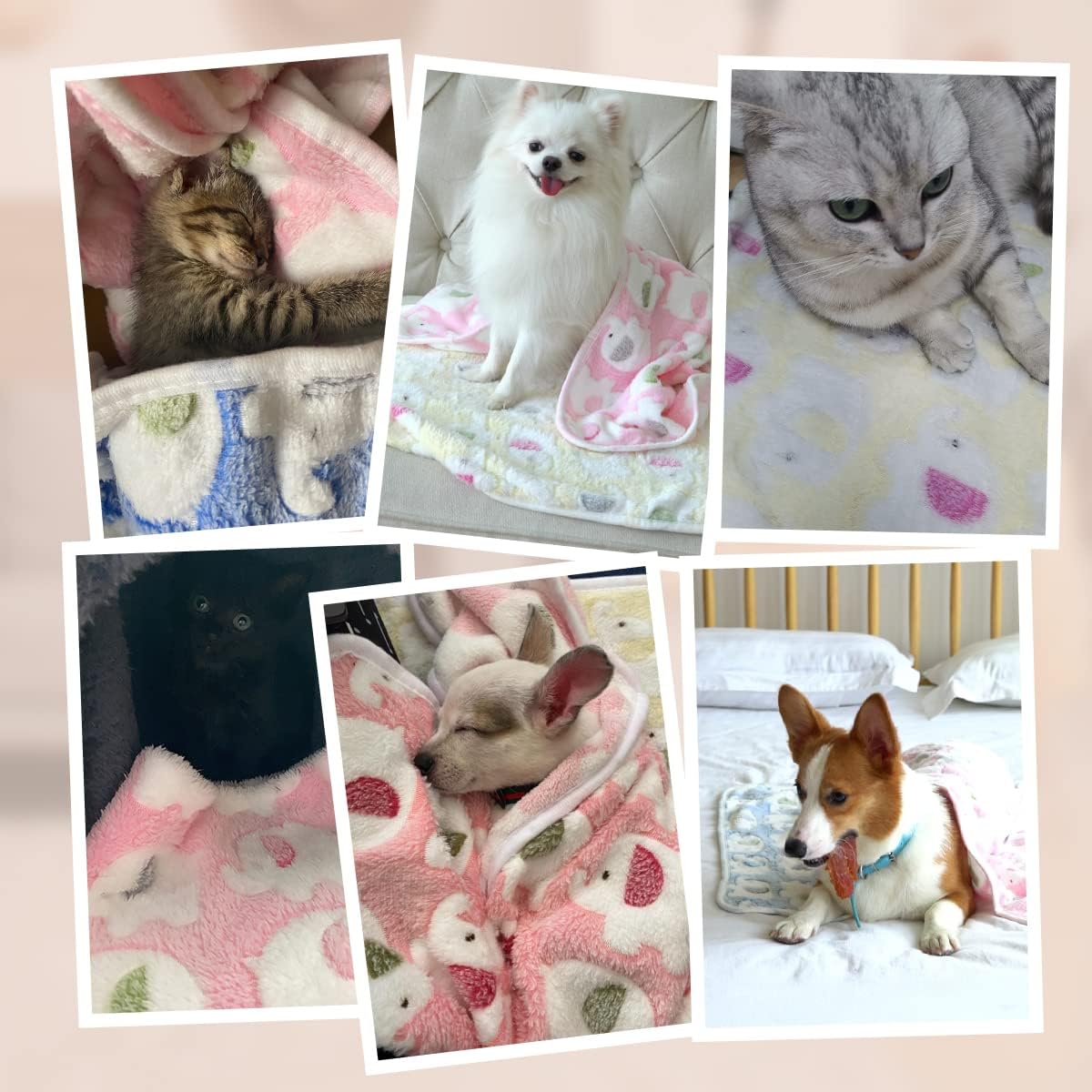 3er Set Katzendecke – Bild 8